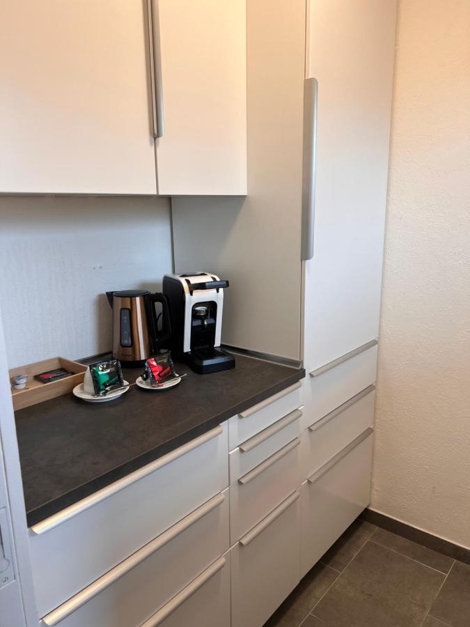 Lux Business Apartments Weil am Rhein Eksteriør billede